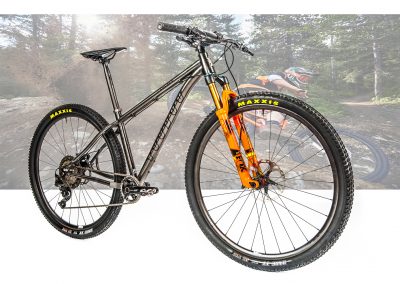 TODO VA  SOBRE RUEDAS FOTOGRAFIAS BICICLETAS MOUNTAIN BIKE