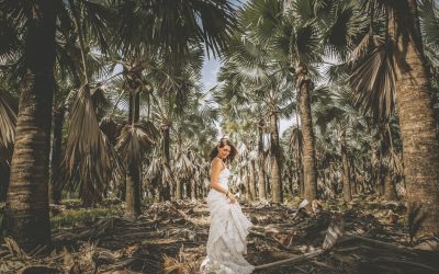 MIAMI BRIDES